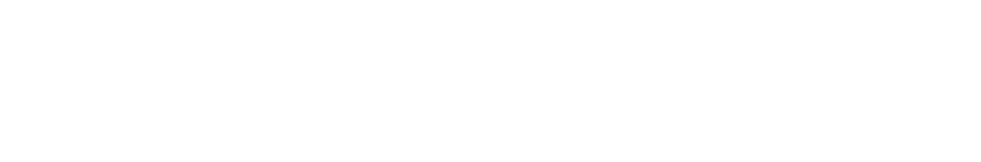 SENNHEISER